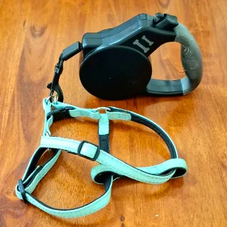 Guinzaglio 3 metri con pettorina