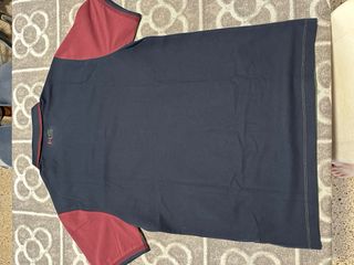 Polo Hackett Sport Verde y Multicolor