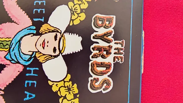 The Byrds - 2 LPs en 1: Sweetheart of the Rodeo +