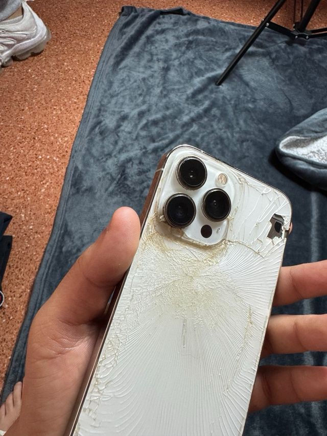 iPhone 13 Pro Max 256GB