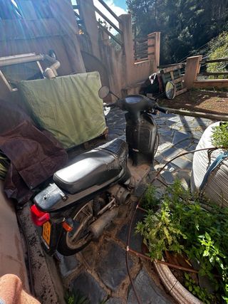 Honda SH Fifty Scoopy 49cc