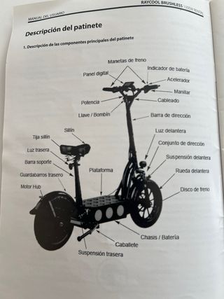 Patinete Eléctrico Raycool Rental 1000W