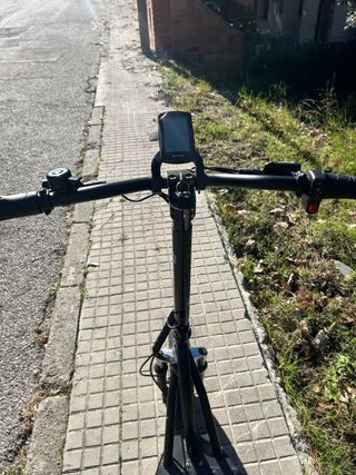 Patinete Eléctrico Raycool Rental 1000W