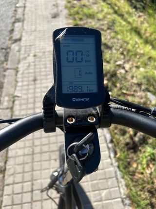 Patinete Eléctrico Raycool Rental 1000W