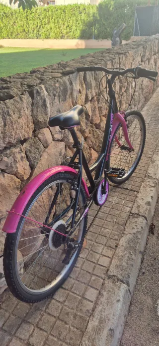 Bicicleta niña rodado 24