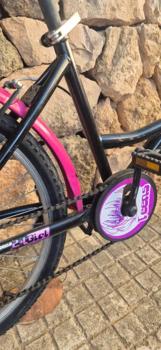 Bicicleta niña rodado 24