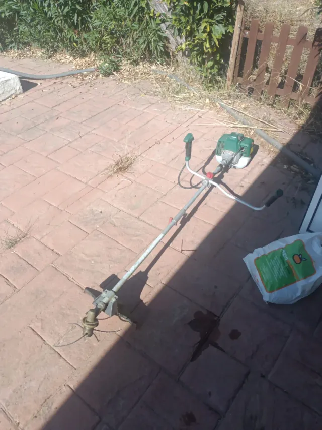 Desbrozadora PARKSIDE GASOLINA