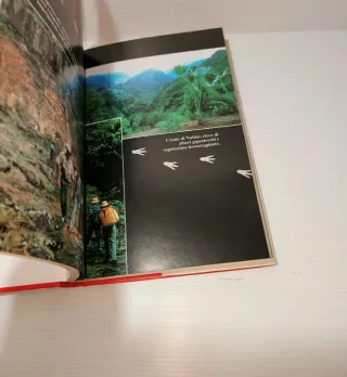 Libro Jurassic Park, Mondadori Ragazzi 1993 LEGGI