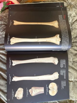 Atlas de Anatoma Humana+e