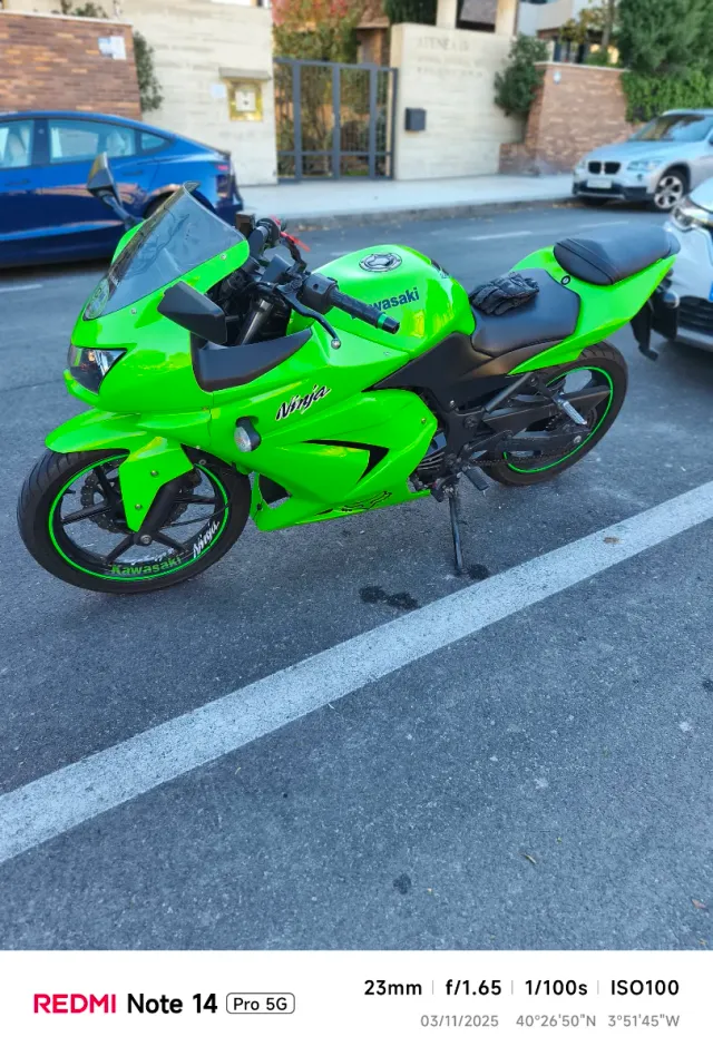 Kawasaki Ninja 250R Verde