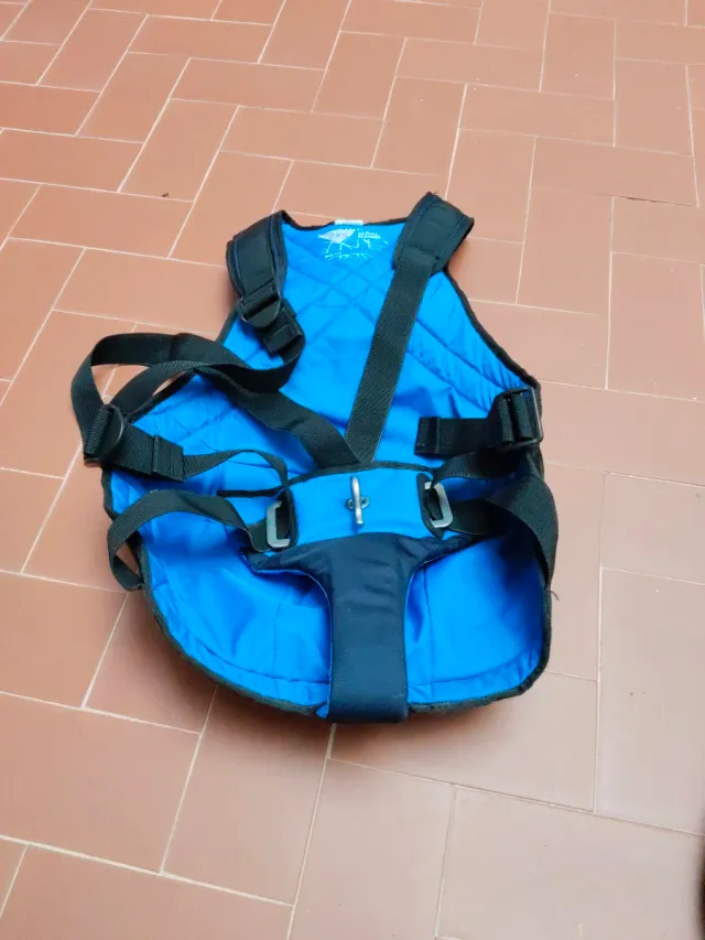 Arnés vela ligera catamarán