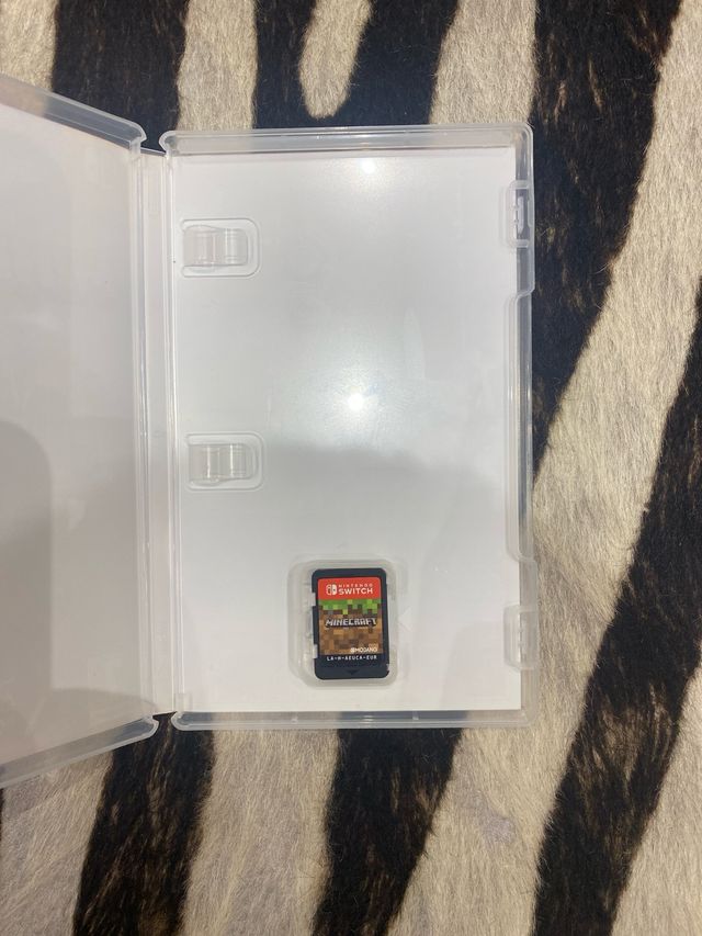 Minecraft Nintendo Switch