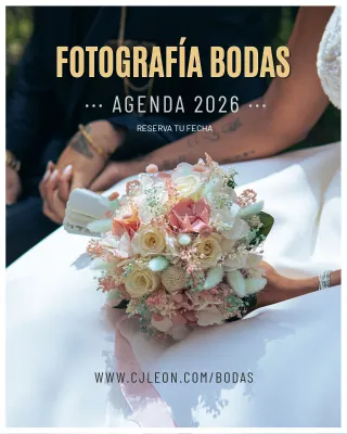 Fotógrafo Bodas