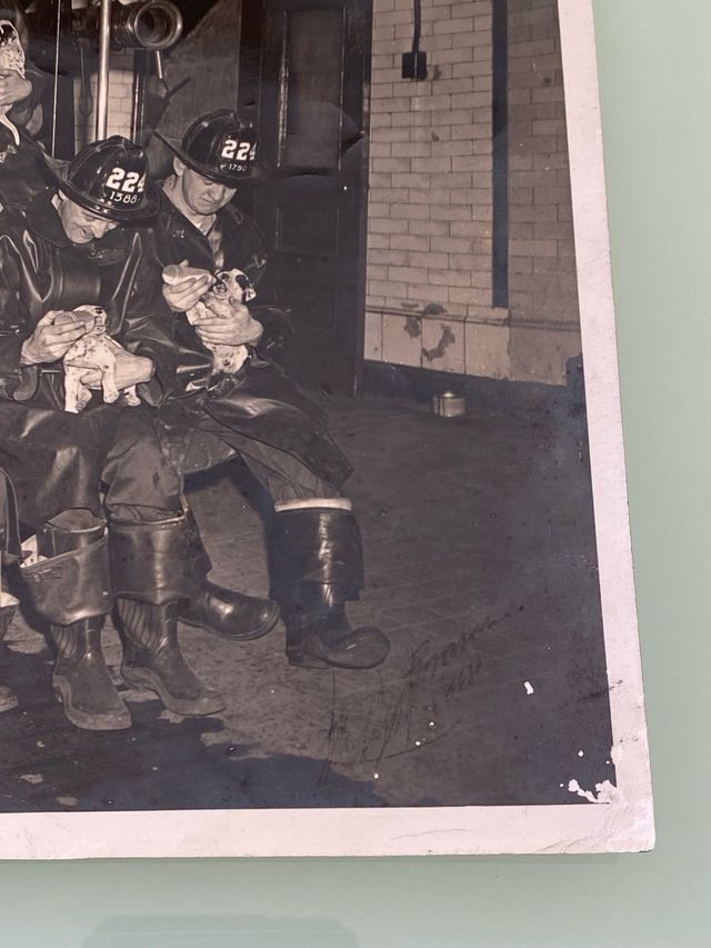 FOTO ORIGINAL BOMBEROS NEW YORK 1948 PAUL BERNIUS