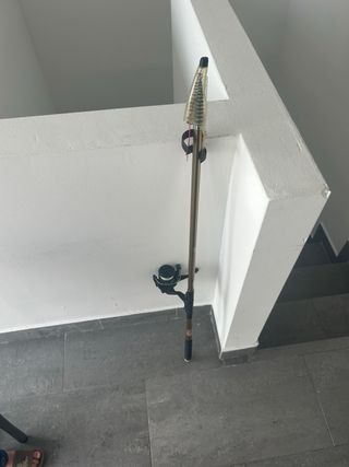 Caña de pesca y carrete