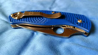 Spyderco Persistence.