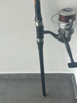 Caña de pescar y carrete