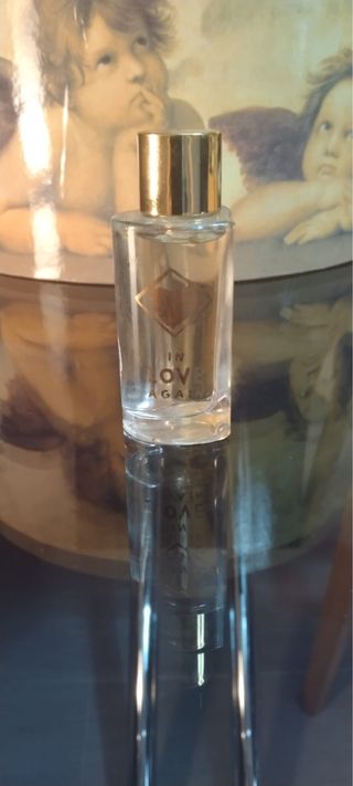 Colonia In Love Again