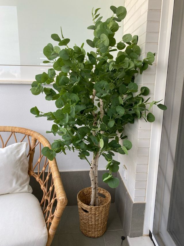 Árbol Eucalipto Artificial Decorativo