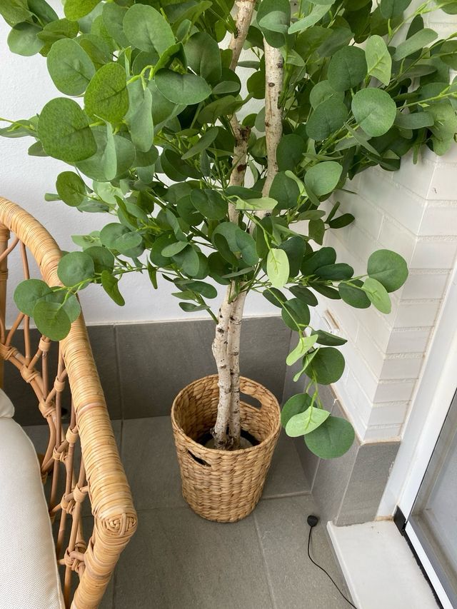 Árbol Eucalipto Artificial Decorativo