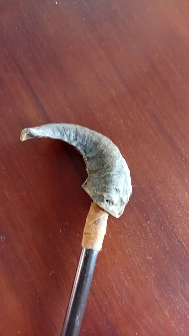 Bastón con cuerno de cabra