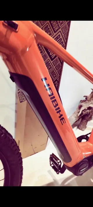 Haibike Alltrail 6 Ebike