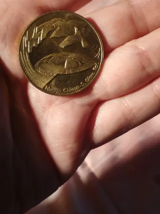 Medaglia San Pio da Pietrelcina