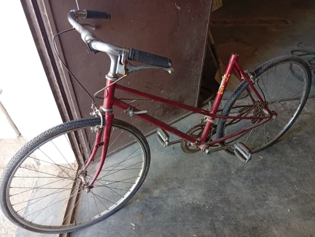 Bicicleta Torrot Roja