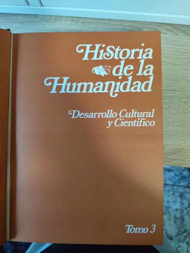 Historia de la humanidad. Civilización medieval.