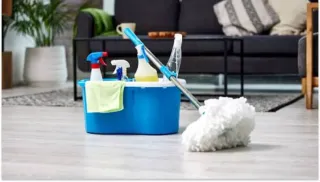 Limpieza profesional