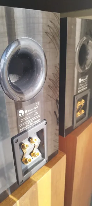 Altavoces de estantería HiFi Audio pro Black Pearl