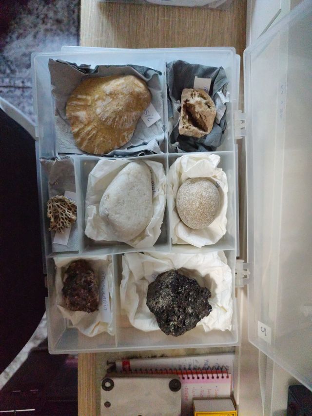 Colección Minerales