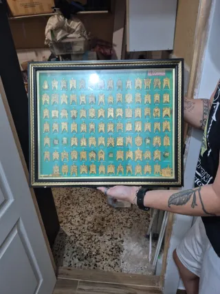 Colección de insignias rocio