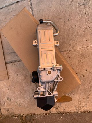 Módulo EGR VW 00048213