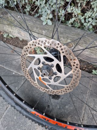Ruota MTB 29 con copertura Maxxis