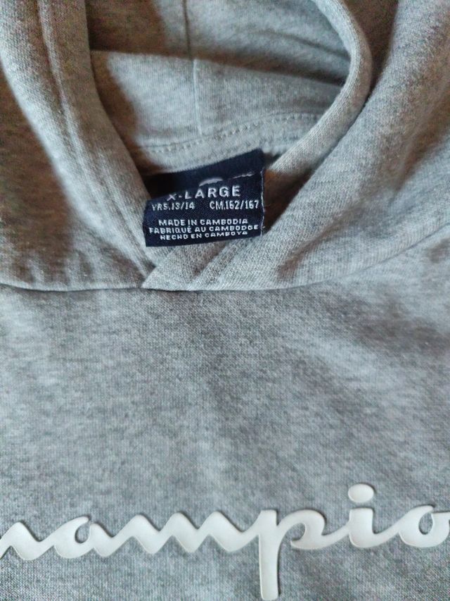 Sudadera Champion Gris con Capucha