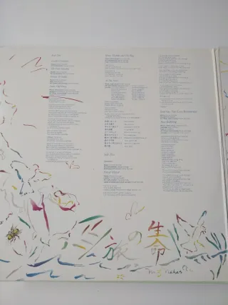 Doble LP Stevie Wonder's The Secret Life of Plants