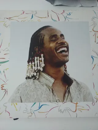 Doble LP Stevie Wonder's The Secret Life of Plants