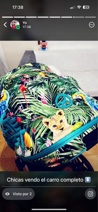 Cybex Carro Completo Silla y Chasis