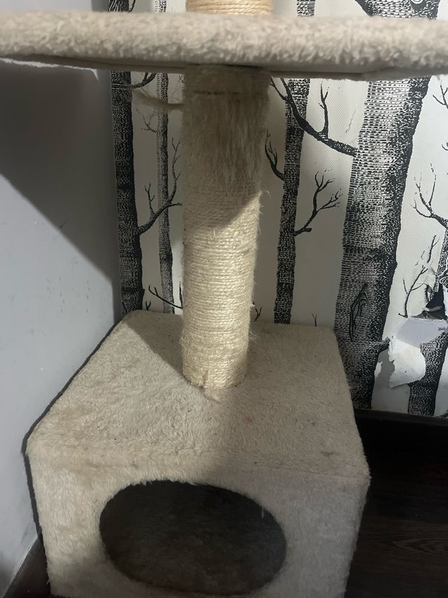 Torre rascador para gatos