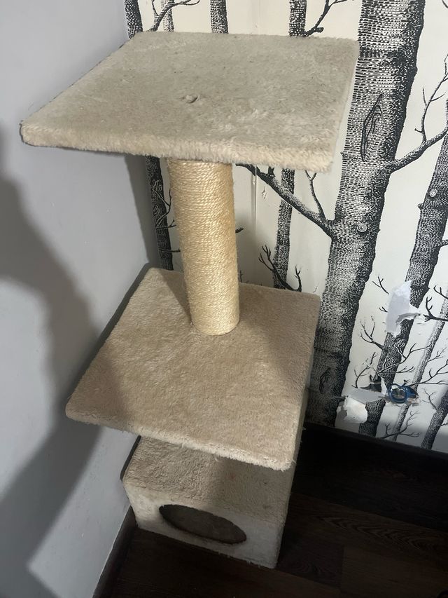 Torre rascador para gatos