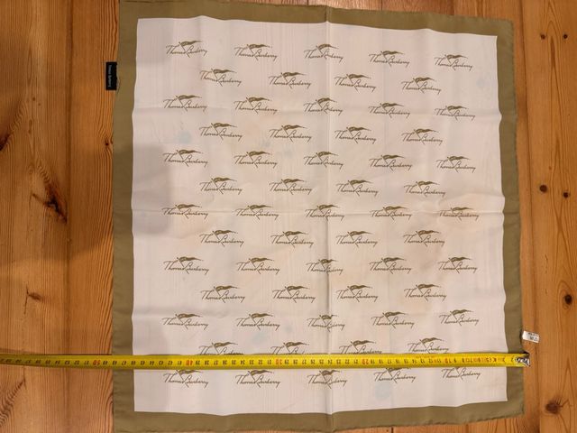 Pañuelo Thomas Burberry pequeño