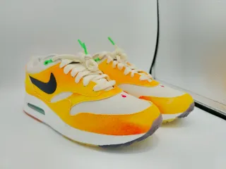 Nike Air Max 1 Always Fresh 42.5