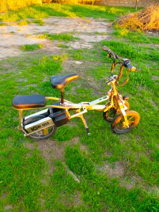 Triciclo Eléctrico plegable