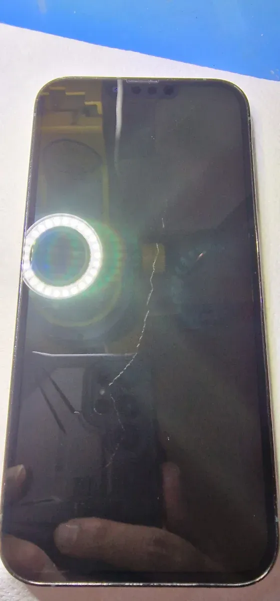 iPhone 13 Pro Max 256GB