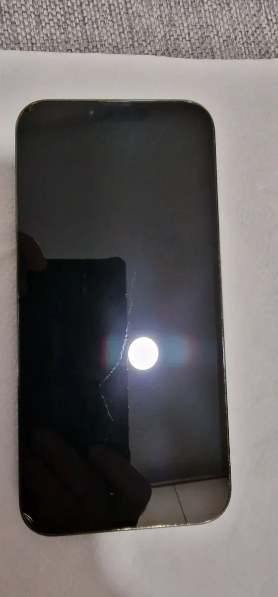 iPhone 13 Pro Max 256GB