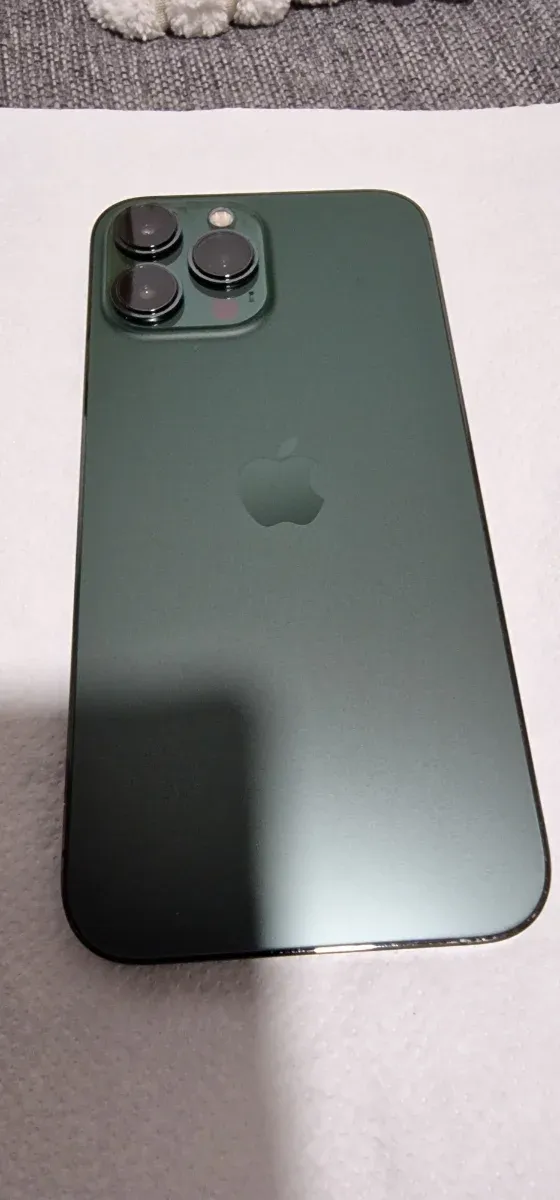 iPhone 13 Pro Max 256GB