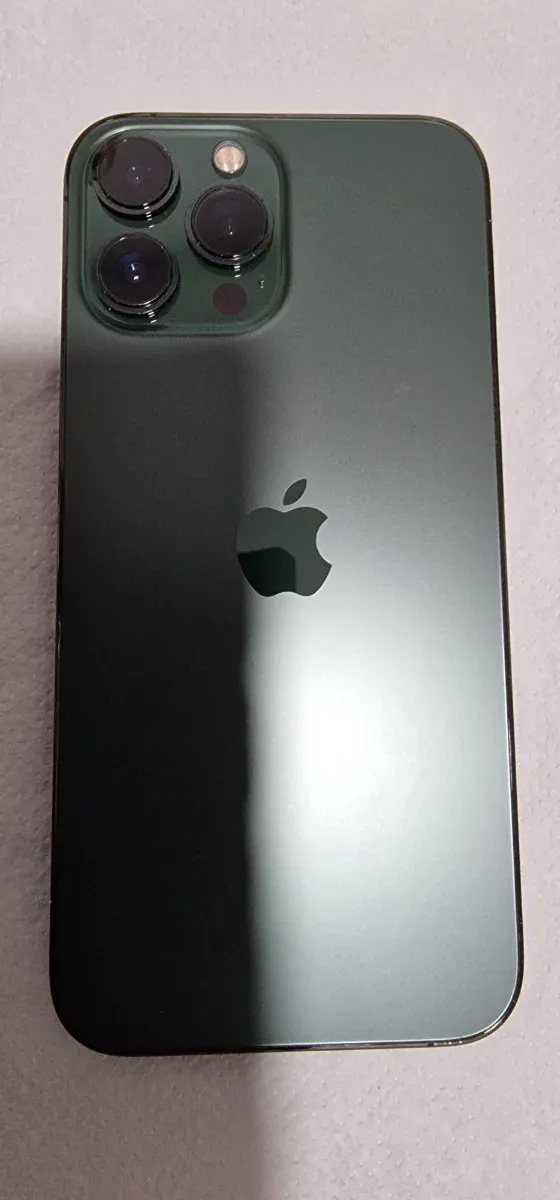 iPhone 13 Pro Max 256GB