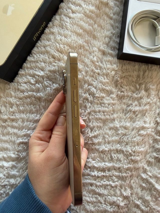 iPhone 13 Pro 256GB Dorado/Plateado