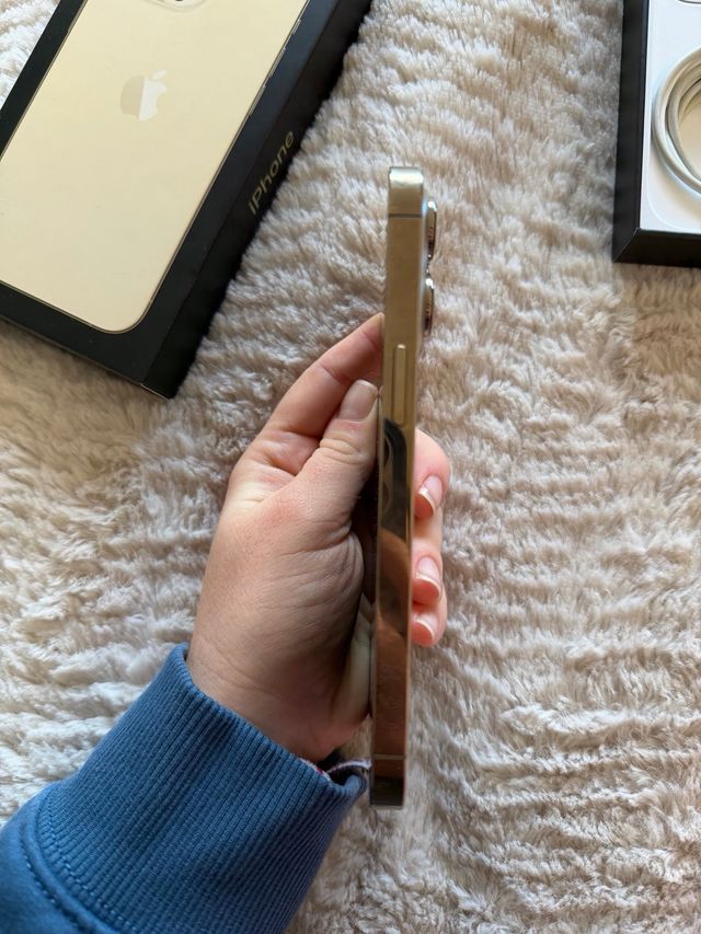 iPhone 13 Pro 256GB Dorado/Plateado